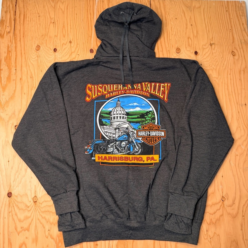 Vintage 2002 Harley Davidson Men's Hoodie Size L Harrisburg PA Biker Y2K